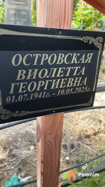 Островская Виолетта Георгиевна