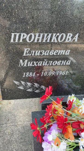 Проникова Елизавета Михайловна