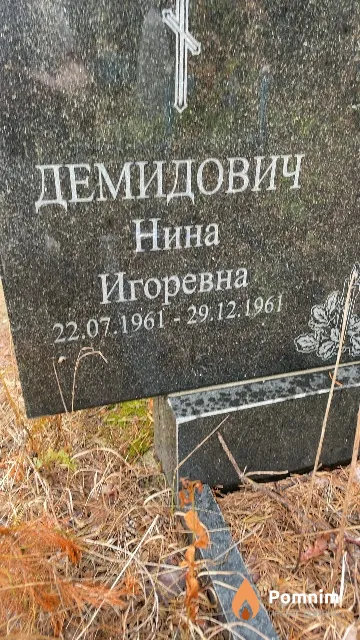 Демидович Нина Игоревна