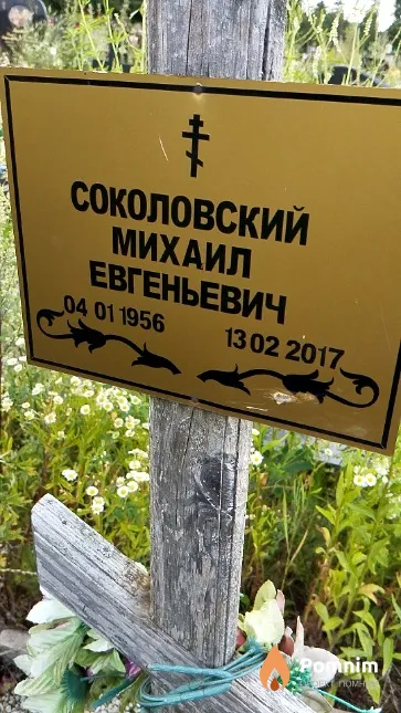 Соколовский Михаил Евгеньевич