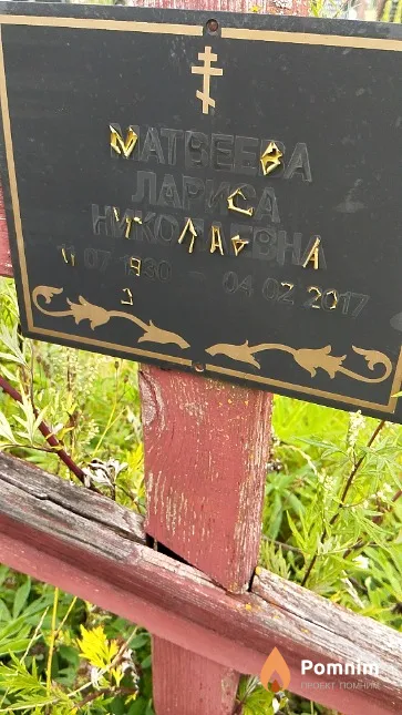 Матвеева Лариса Николаевна