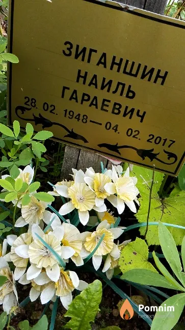 Зиганшин Наиль Гараевич