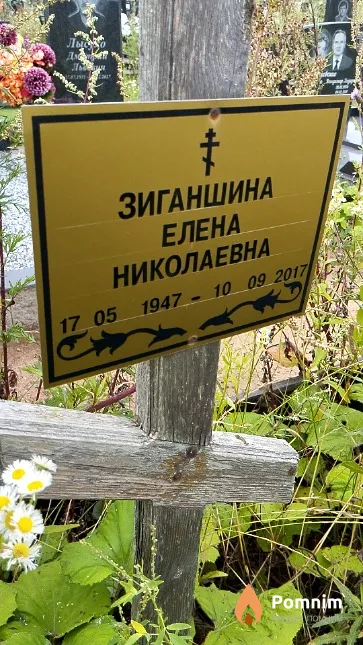Зиганшина Елена Николаевна