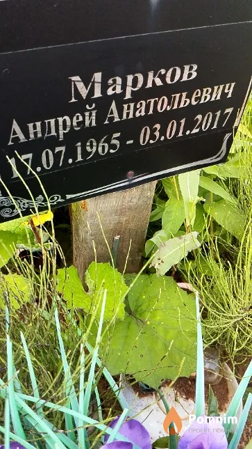 Марков Андрей Анатольевич