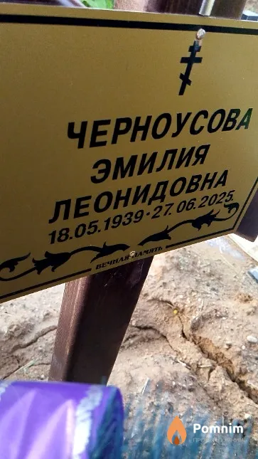 Черноусова Эмилия Леонидовна