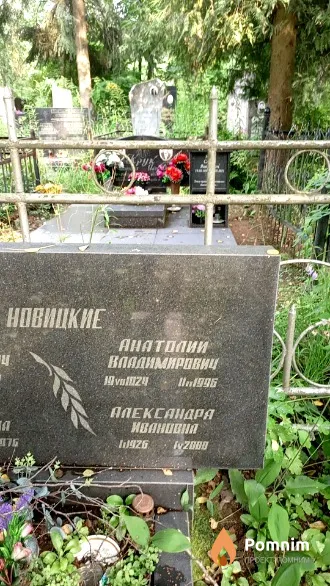 Новицкий Анатолий Владимирович