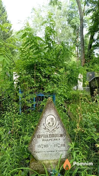 Прокопович Андрейка