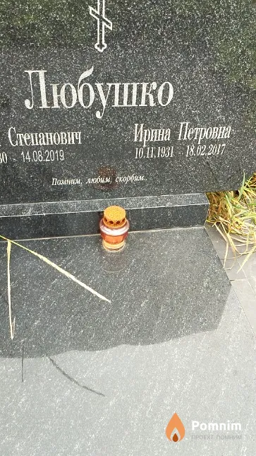 Любушко Ирина Петровна
