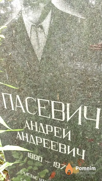 Пасевич Андрей Андреевич