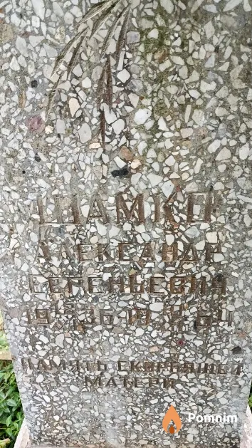 Шамко Александр Семенович