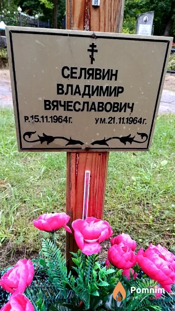 Селявин Владимир Вячеславович
