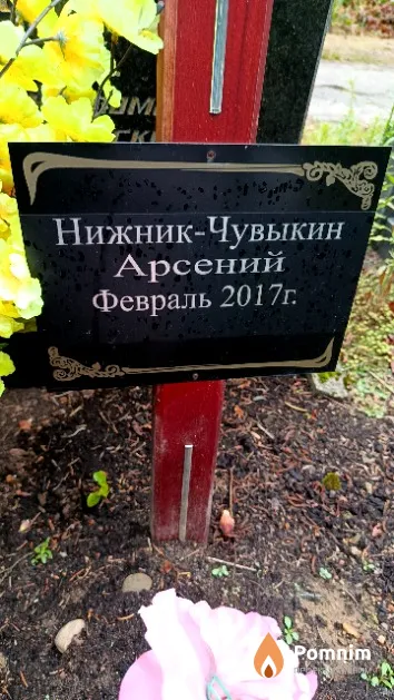Нижние-Чувыкин Арсений