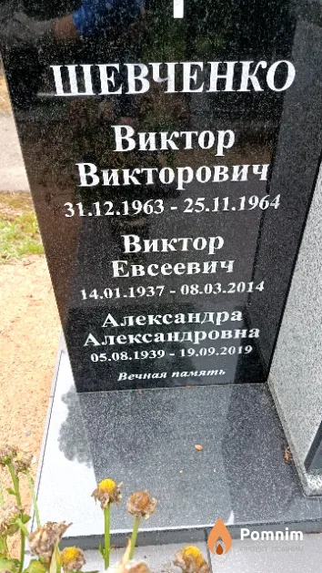 Шевченко Виктор Викторович