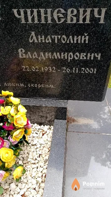 Чиневич Анатолий Владимирович