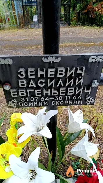 Зеневич Василий Евгеньевич