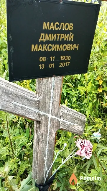 Маслов Дмитрий Максимович