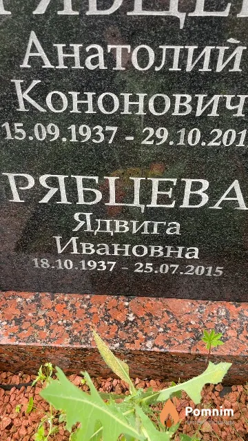 Рябцева Ядвига Ивановна