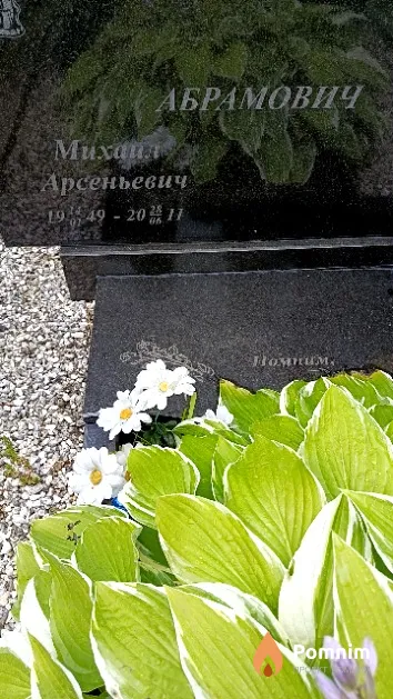 Абрамович Михайл Арсеньевич