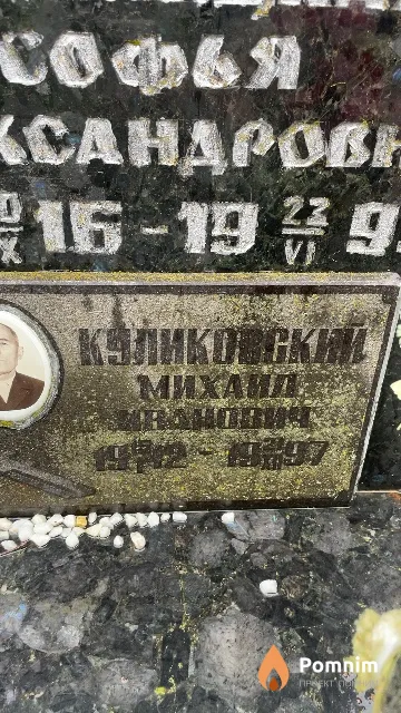 Куликовский Михаил Иванович