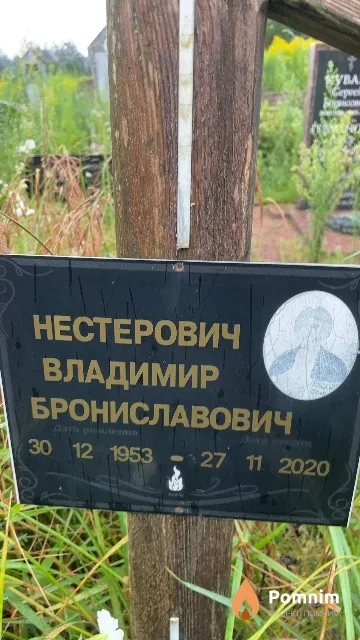 Нестерович Владимир Брониславович
