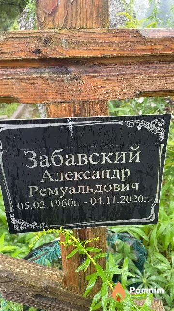 Забавский Александр Ремуальдович