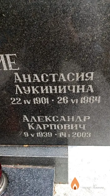 Навроцкая Анастасия Лукинична