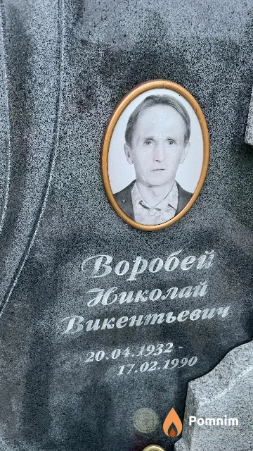 Воробей Николай Викентьевич