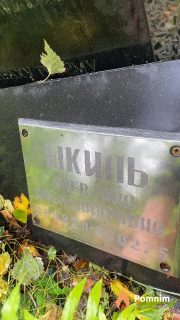 Шкиль Алевтина Александровна