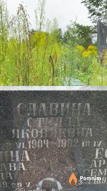 Славина Стелла Яковлевна