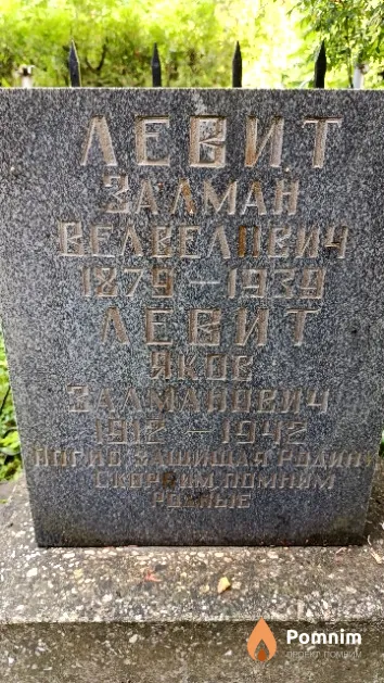 Левит Яков Залманович