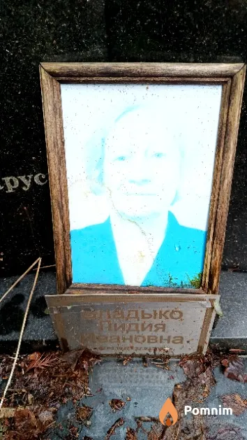 Владыко Лидия Ивановна