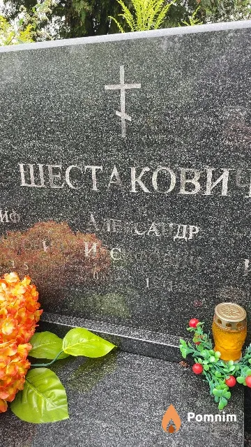 Шестакович Александр Иосифович
