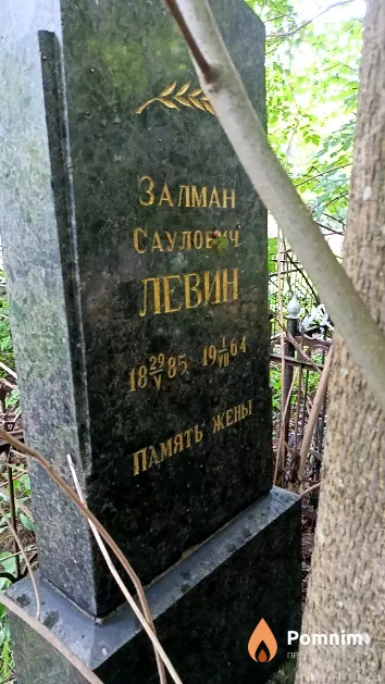 Левин Залман Саулович