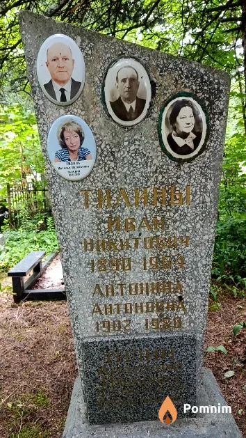 Тилин Анатолий Иванович