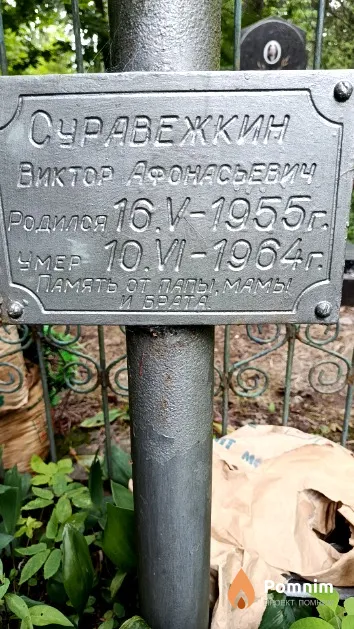 Суравежкин Виктор Афонасьевич