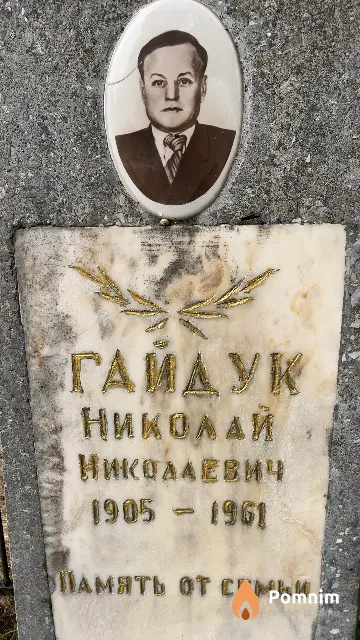 Гайдук Николай Николаевич