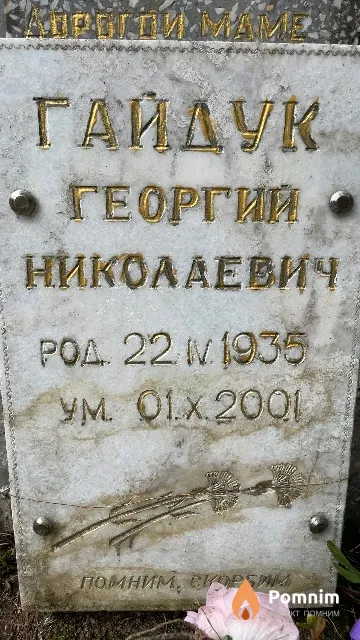 Гайдук Георгий Николаевич