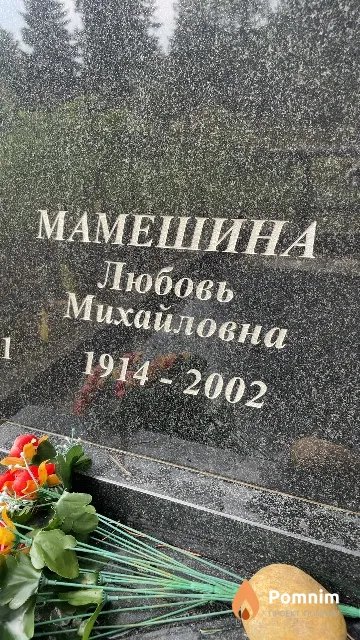 Мамешина Любовь Михайловна