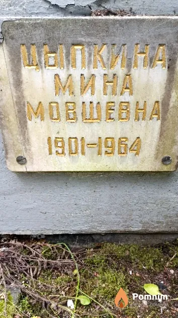 Цыпкина Мина Мовшевна