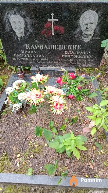 Карнашевский Владимир Григорьевич