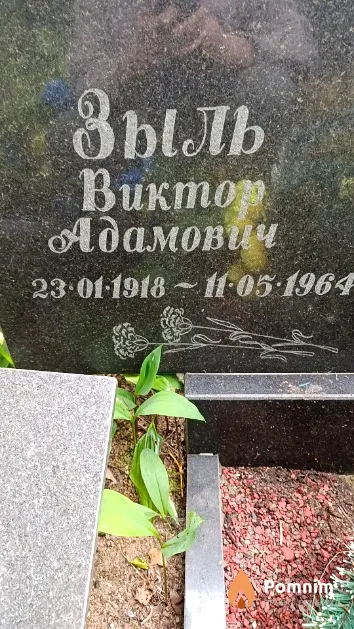 Зыль Виктор Адамович