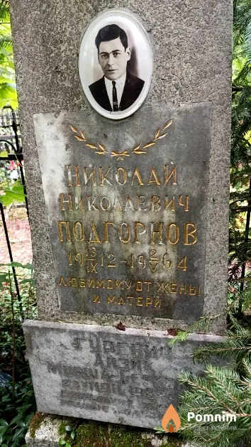 Подгорнов Николай Николаевич