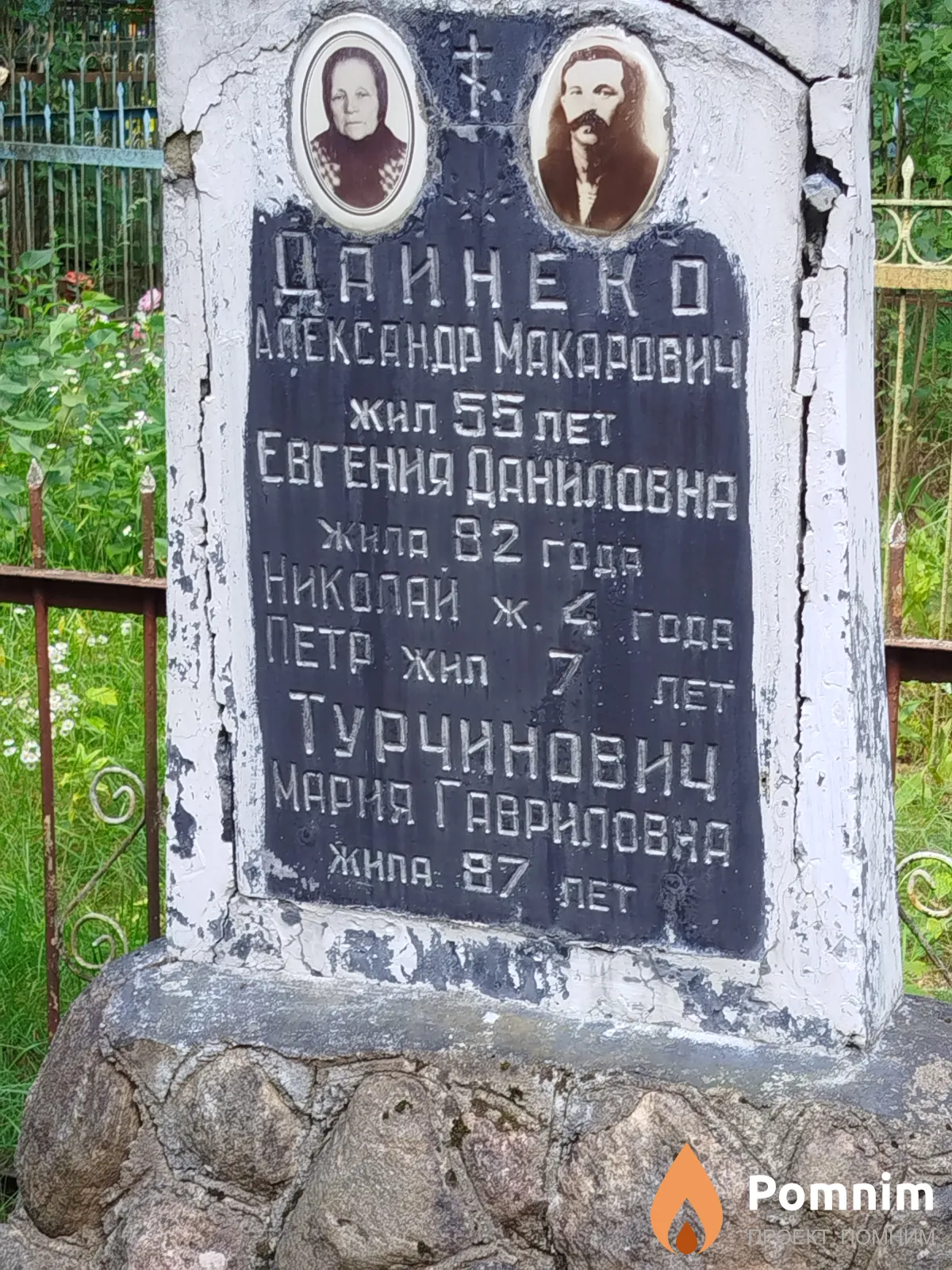 Дайнеко Николай