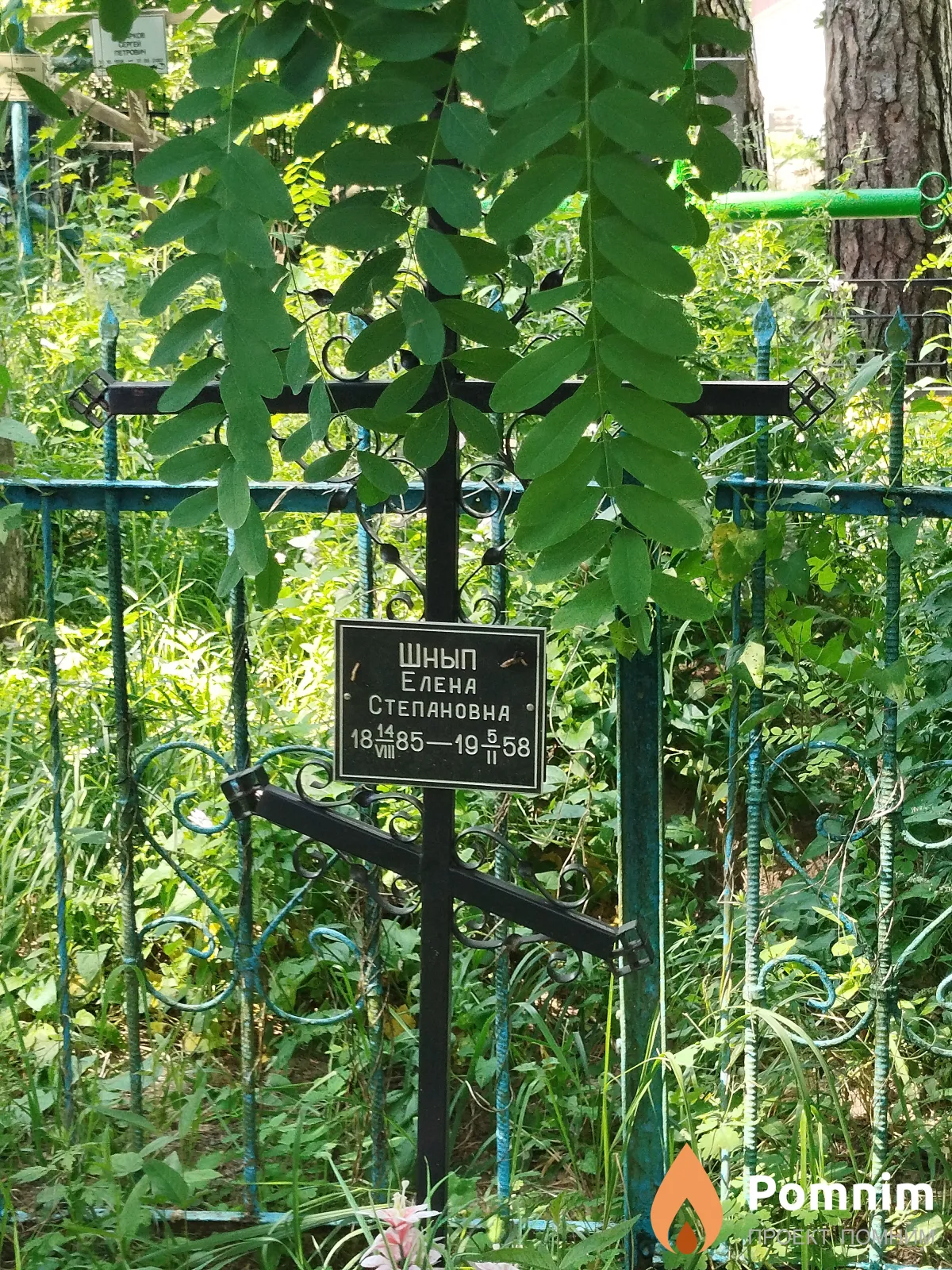 Шнып Елена Степановна