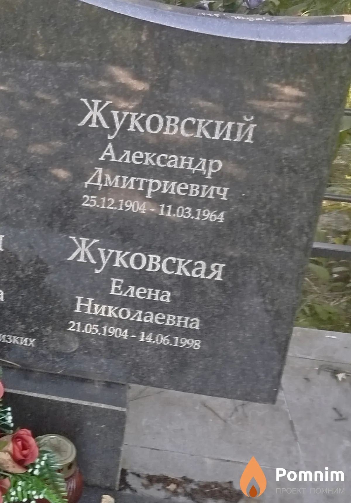Жуковская Елена Николаевна