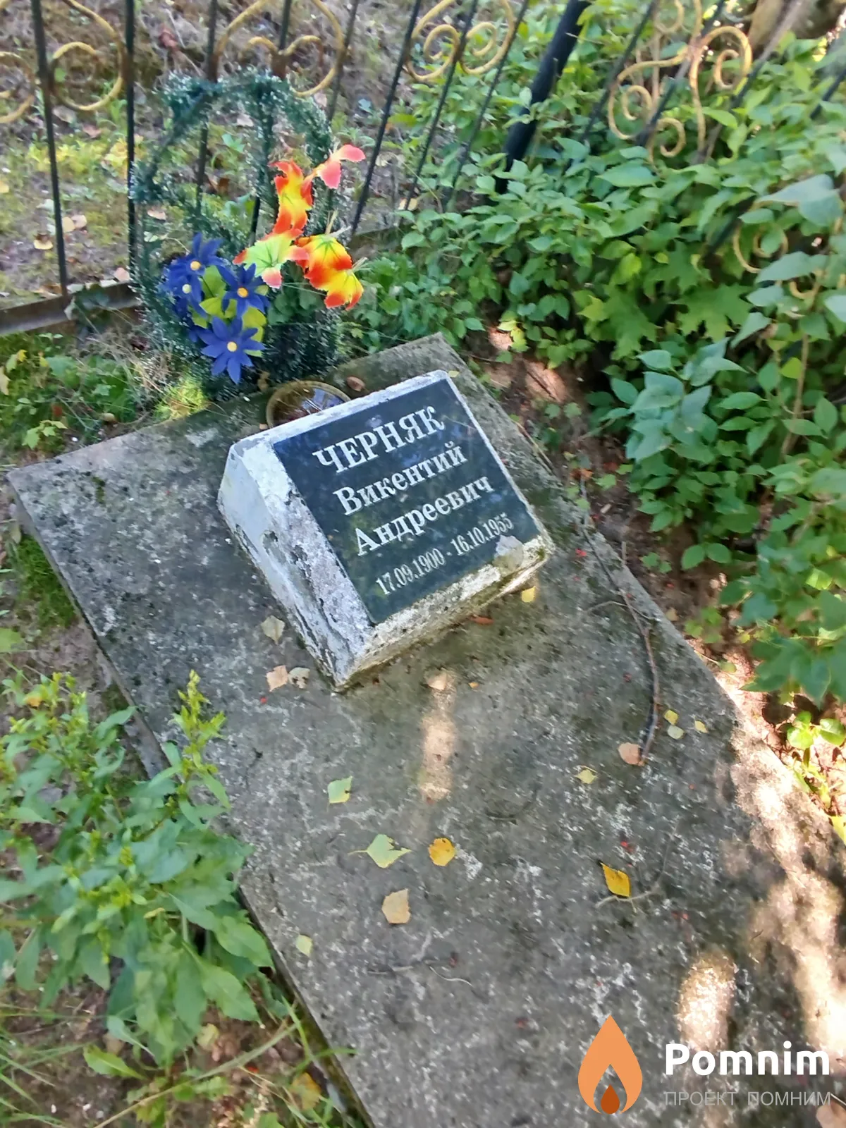 Черняк Викентий Андреевич