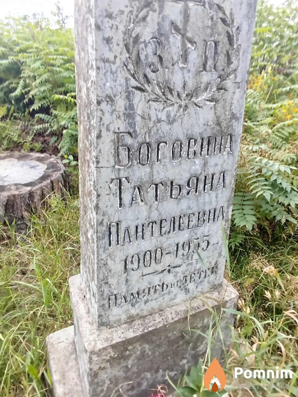 Боговина Татьяна Пантелеевна