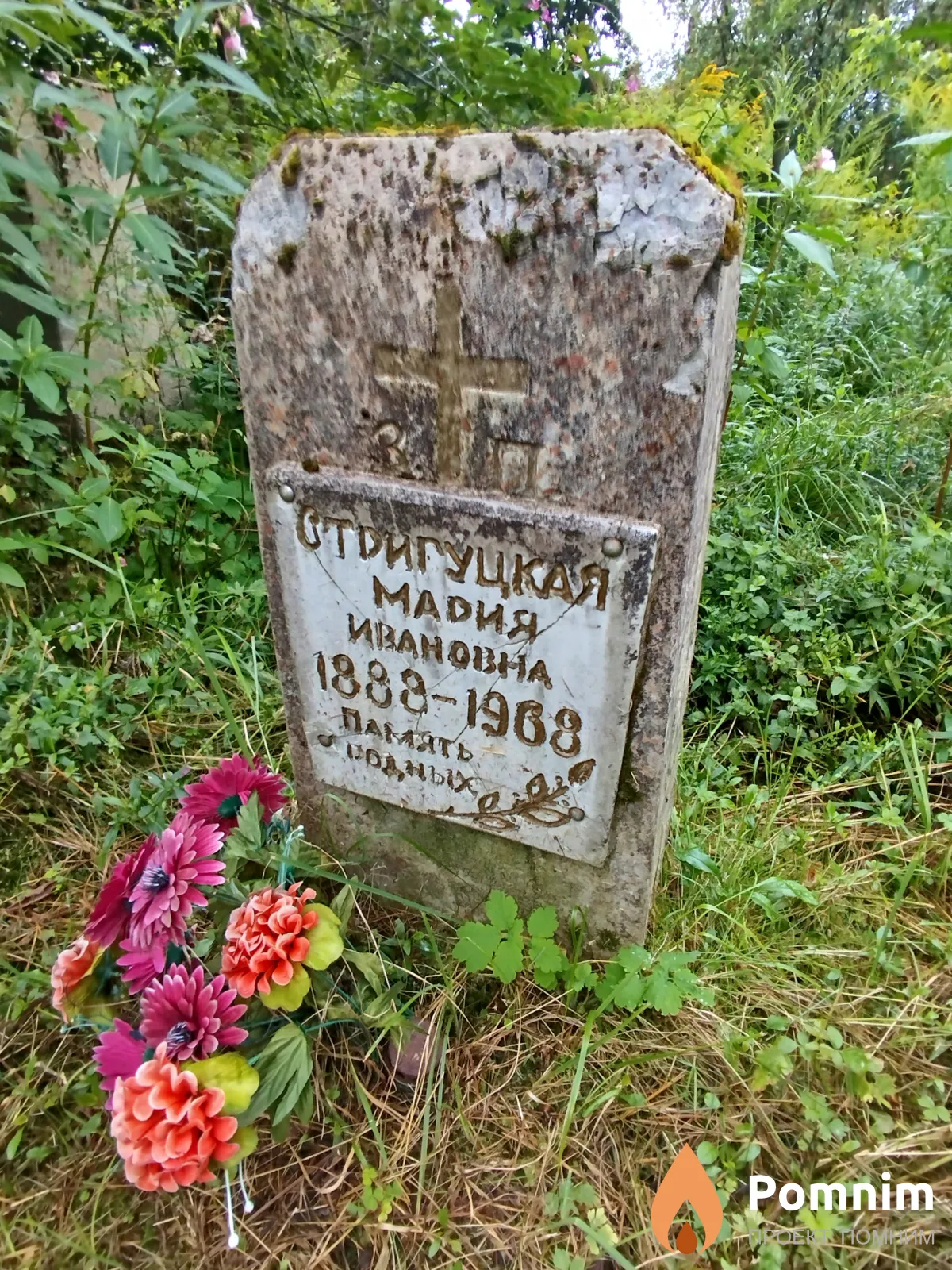 Стригуцкая Мария Ивановна