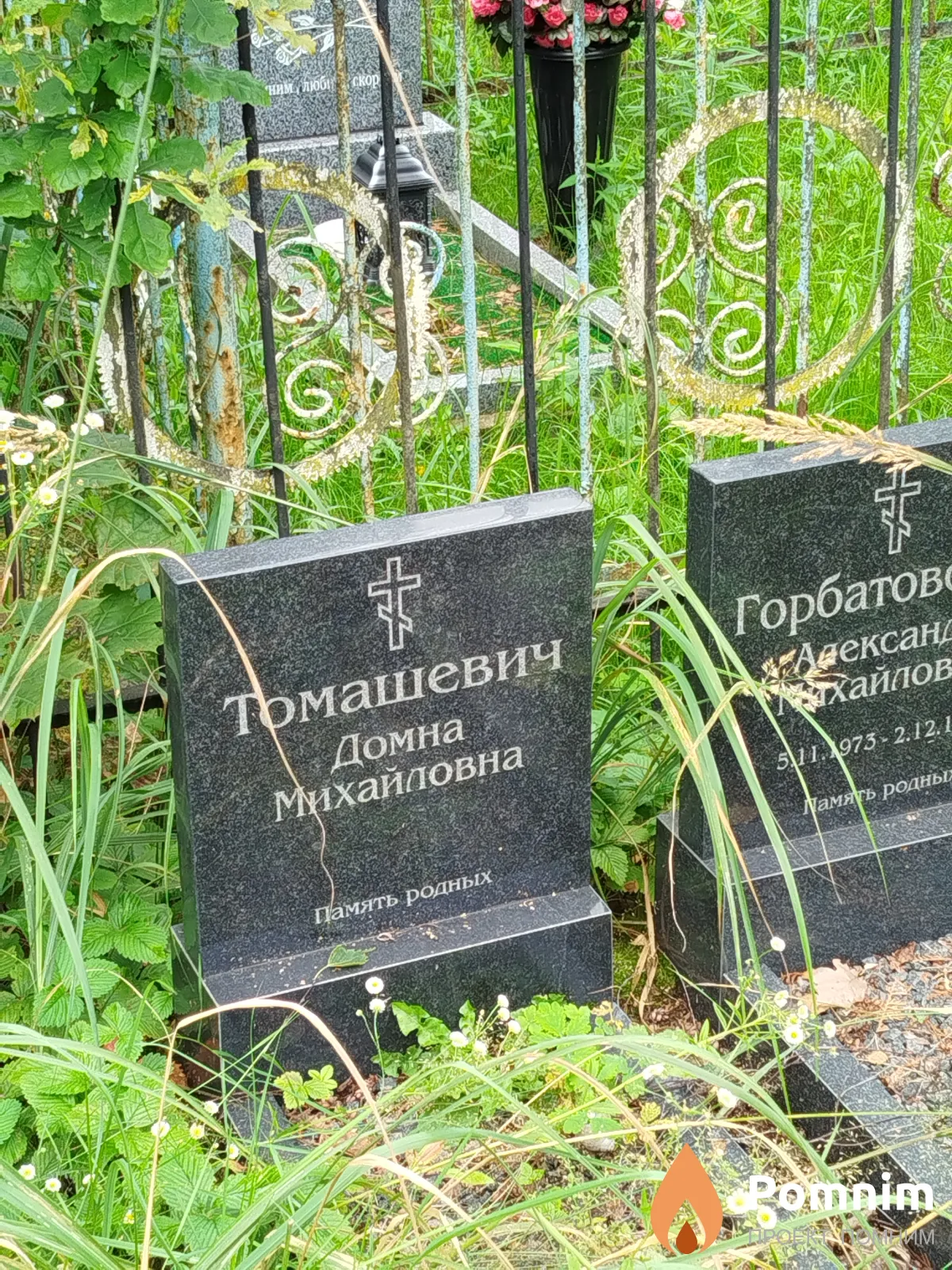 Томашевич Домна Михайловна