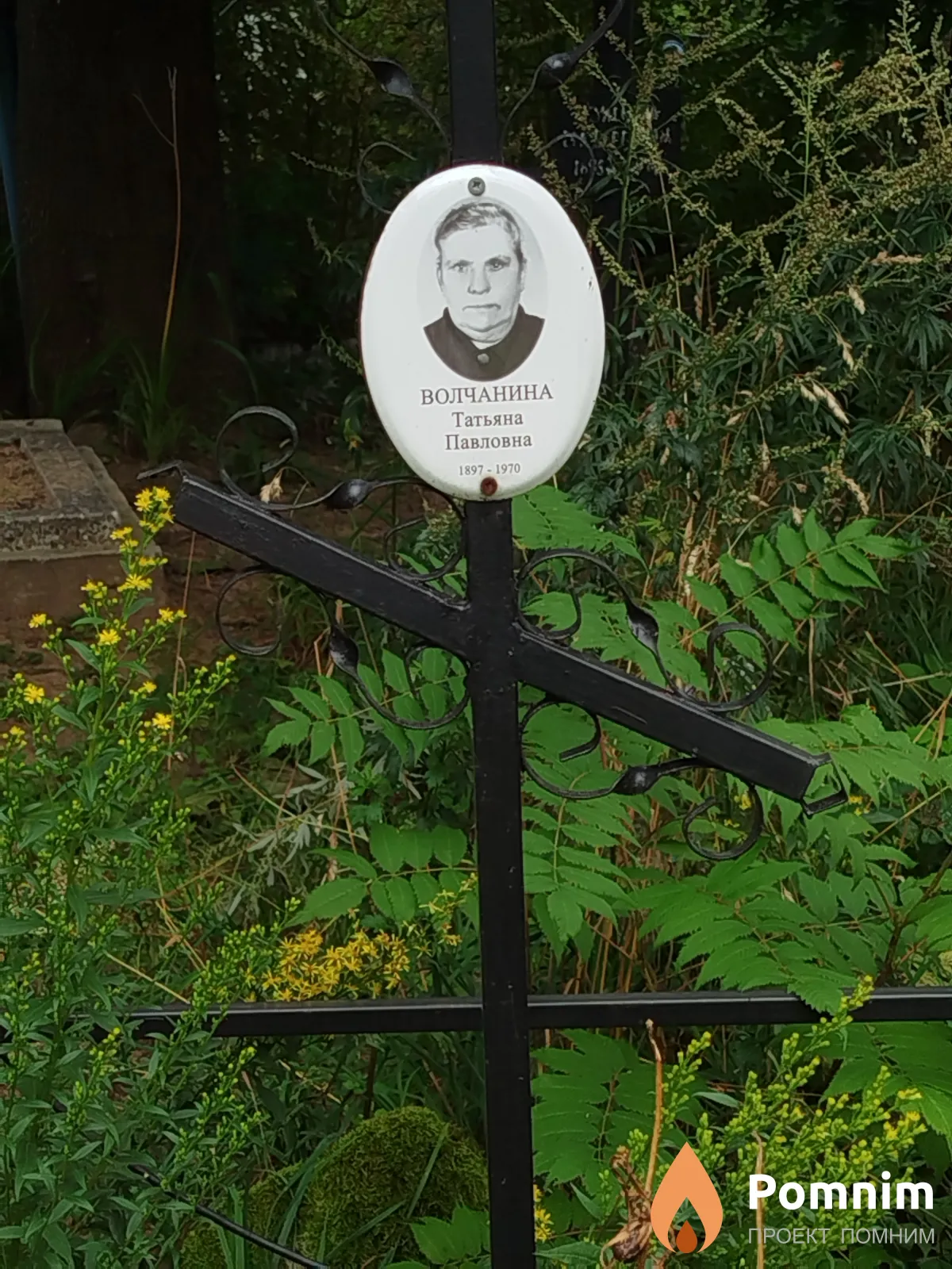 Волчанина Татьяна Павловна